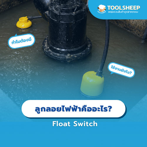 Float Switch ลูกลอยไฟฟ้าคืออะไร ทำไมระบบสูบน้ำเสียควรมีติดตั้งไว้