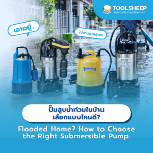 ปั๊มสูบน้ำท่วมในบ้าน เลือกแบบไหนดี? แนะนำปั๊มแช่สำหรับสูบน้ำขัง ใช้งานง่าย เคลื่อนย้ายสะดวก Flooded Home? How to Choose the Right Submersible Pump - TOOLSHEEP